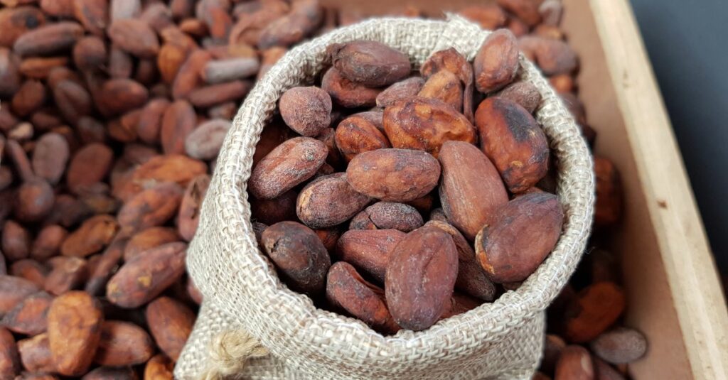 COCOA FARMERS ESTABLISH BUSINESS WITH PREMIUM MARKETS PNG Haus Bung