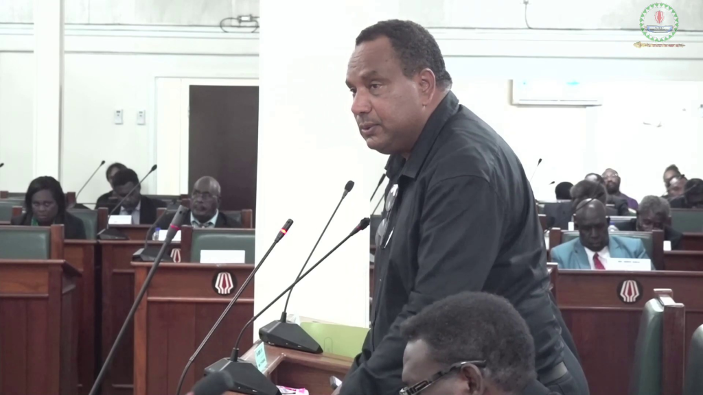 AUTONOMOUS BOUGAINVILLE GOVT PASSES 2025 BUDGET PNG Haus Bung